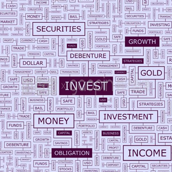 投资与投资管理 策略、差异与实践指南
