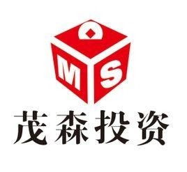 南昌茂森投资管理 专业投资管理服务的优势与前景